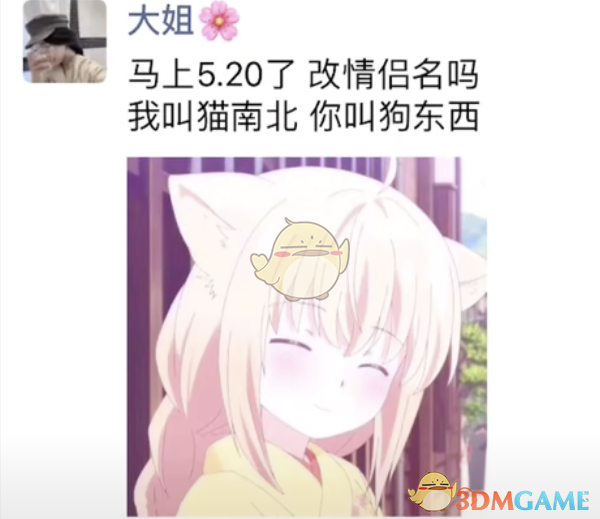 抖音猫南北狗东西情侣名含义介绍