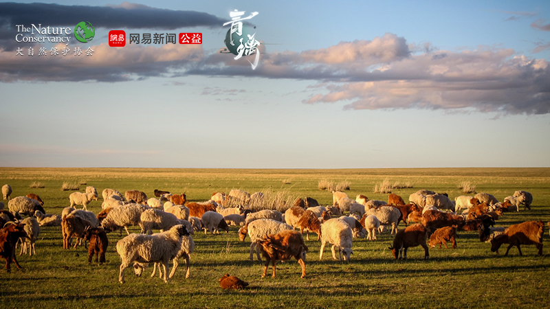 《青璃》制作人专访：不仅仅是动作解密游戏，更是一部能玩的“叙事电影”