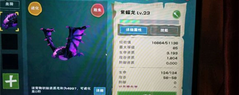 创造与魔法紫蝠龙进化