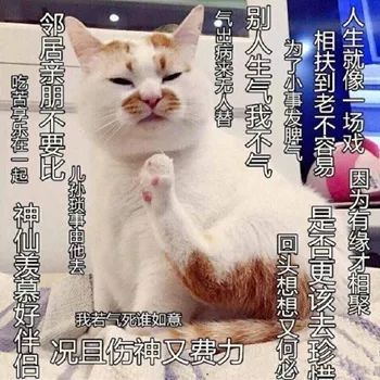抖音人生不如意之处十之八九莫生气表情包分享