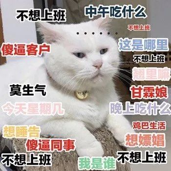 抖音人生不如意之处十之八九莫生气表情包分享