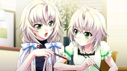 姬魔恋战纪角色荀攸CV介绍——后藤邑子