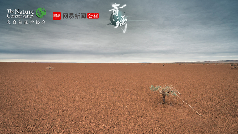 行在绿水青山间  网易东方侠客独立新游《青璃》明日iOS正式上线