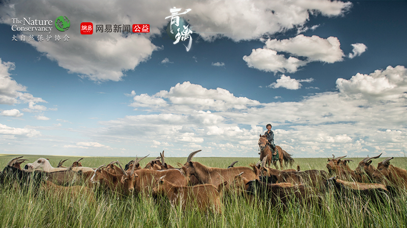 行在绿水青山间  网易东方侠客独立新游《青璃》明日iOS正式上线