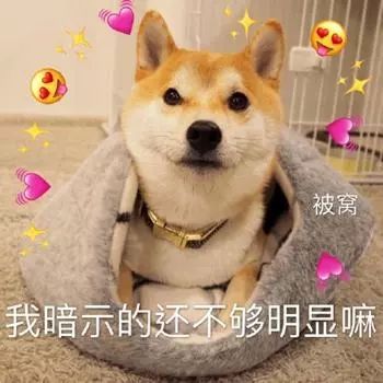 抖音你又不和我睡你管我几点睡表情包