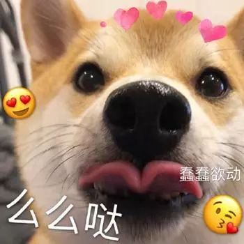 抖音你又不和我睡你管我几点睡表情包