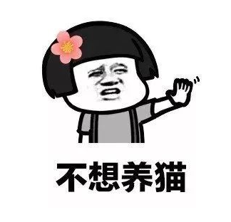 抖音我养你啊毕竟养猪致富表情包分享