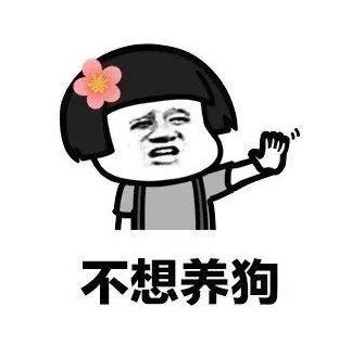 抖音我养你啊毕竟养猪致富表情包分享