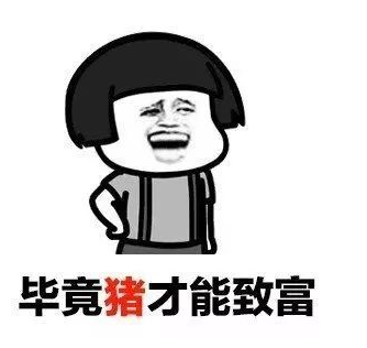 抖音我养你啊毕竟养猪致富表情包分享