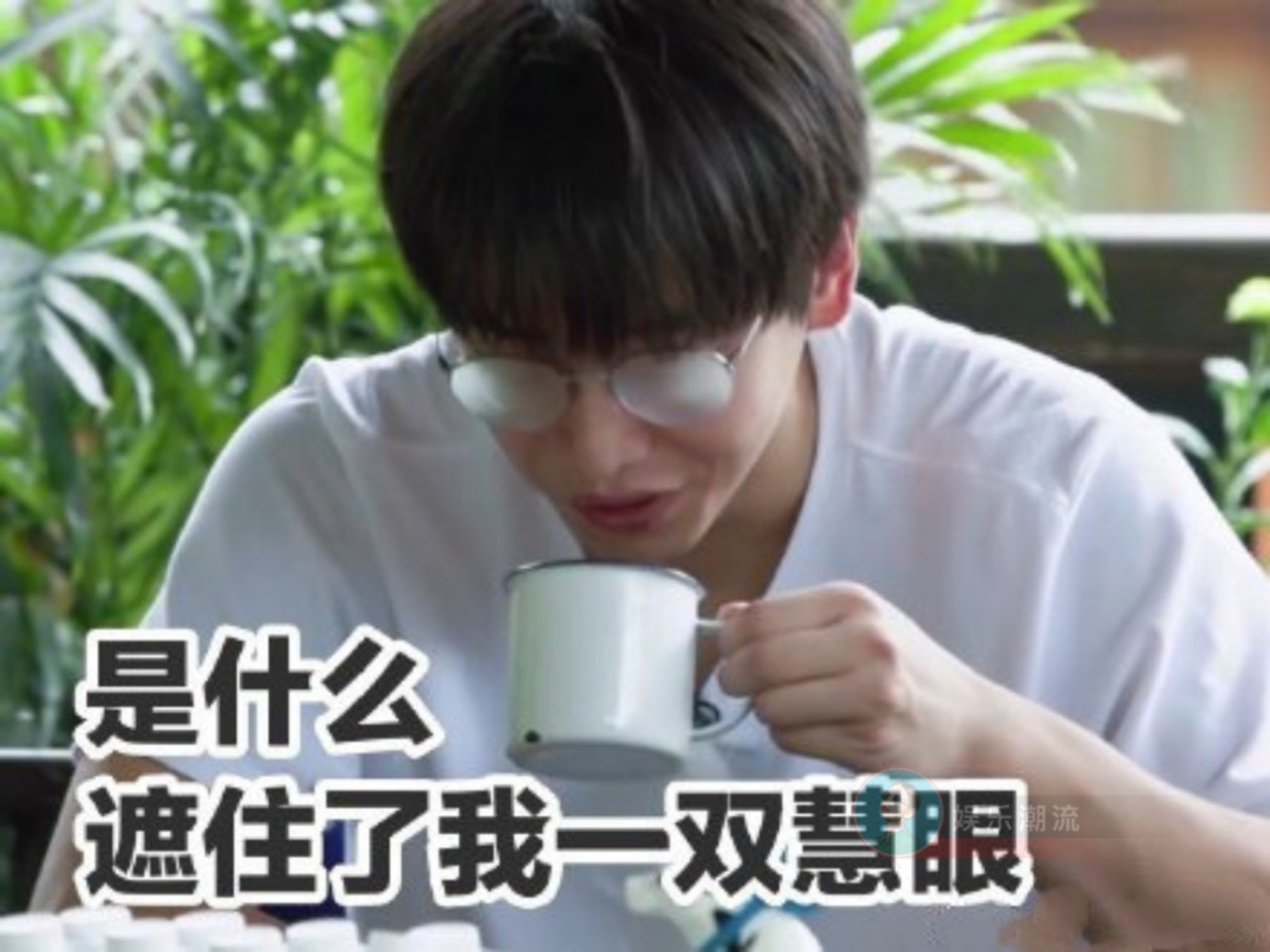抖音彭昱畅酸成柠檬精表情包分享介绍