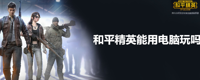和平精英电脑能玩吗