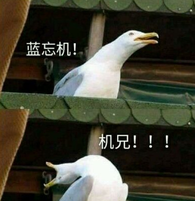 抖音蓝氏禁言表情包分享介绍