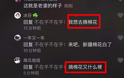 抖音我想去摘棉花什么梗