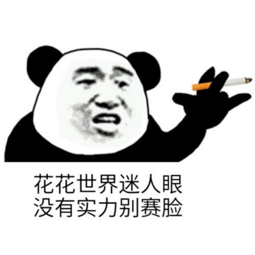 现实碰一碰熊猫社会人表情包原图