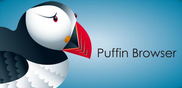 《Puffin浏览器》无法访问网络解决办法
