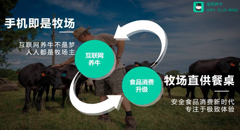 《全民养牛》赚钱方法介绍