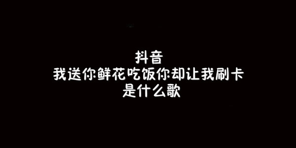 抖音我送你鲜花吃饭你却让我刷卡歌曲介绍