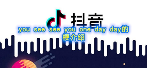 you see see you one day day的梗介绍