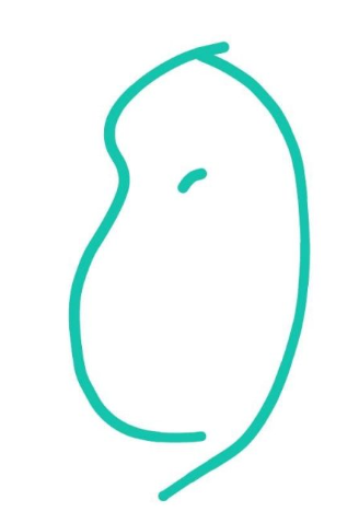 《QQ》画图红包马铃薯简笔画