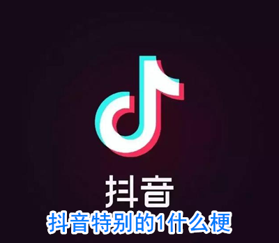 抖音特别的1什么梗