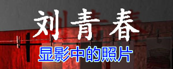 《孙美琪疑案-刘青春》五级线索——显影中的照片