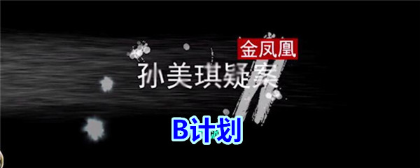 《孙美琪疑案-金凤凰》三级线索——B计划