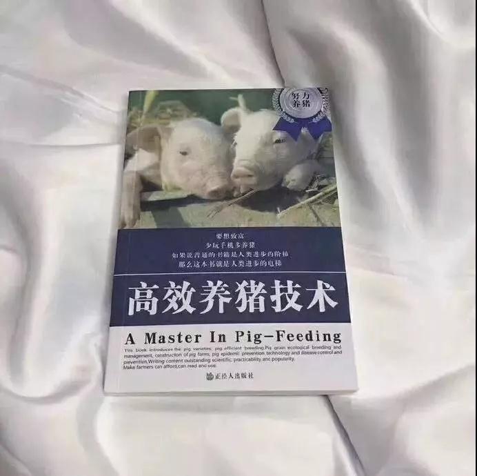 个性有趣朋友圈背景分享