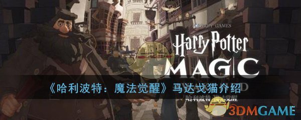 《哈利波特：魔法觉醒》马达戈猫卡牌属性介绍