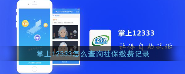 《掌上12333》查询社保缴费记录方法