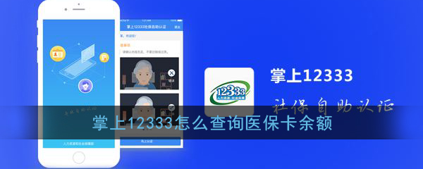 《掌上12333》查询医保卡余额方法