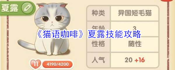 《猫语咖啡》夏露技能攻略