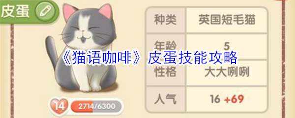 《猫语咖啡》皮蛋技能攻略