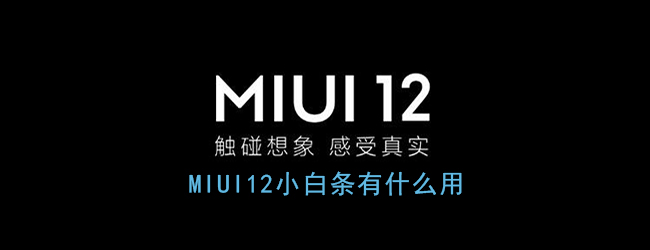 《MIUI12》小白条作用介绍