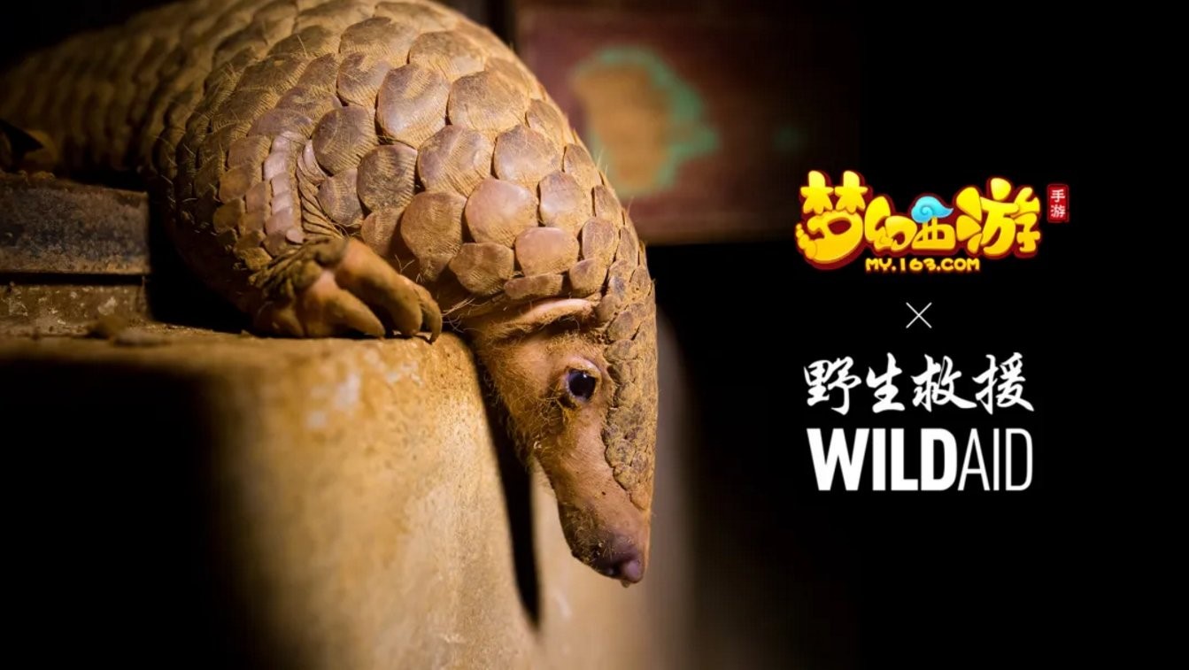 守望生灵！《梦幻西游》手游携手WildAid打造野生动物保护新玩法