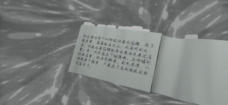 《孙美琪疑案：郎威》四级线索——账本留言