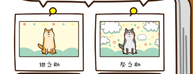 猫咪田园攻略