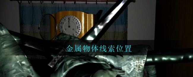 《孙美琪疑案：王勇》五级线索——金属物体