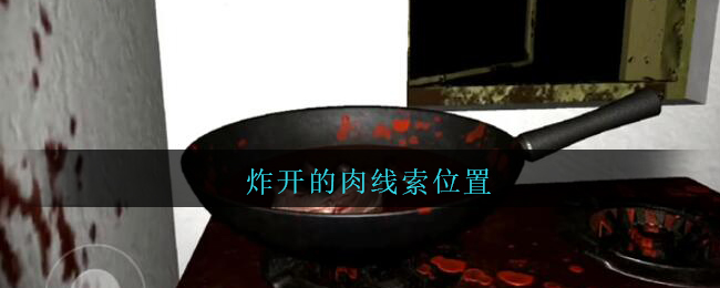 《孙美琪疑案：王勇》五级线索——炸开的肉