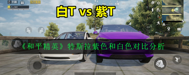 《和平精英》特斯拉紫色和白色对比分析