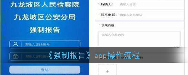 《强制报告》app操作流程