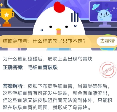 为什么遭到磕碰后，皮肤上会出现乌青块