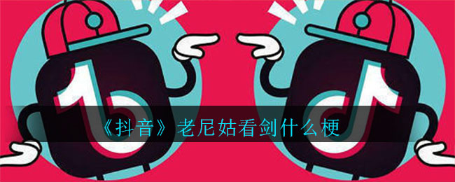 抖音老尼姑看剑什么梗