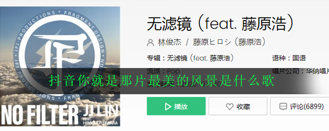 抖音你就是那片最美的风景是什么歌