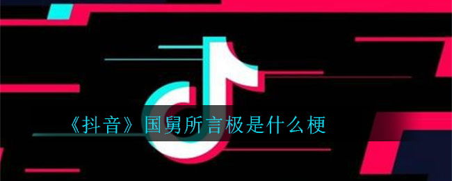 《抖音》国舅所言极是什么梗