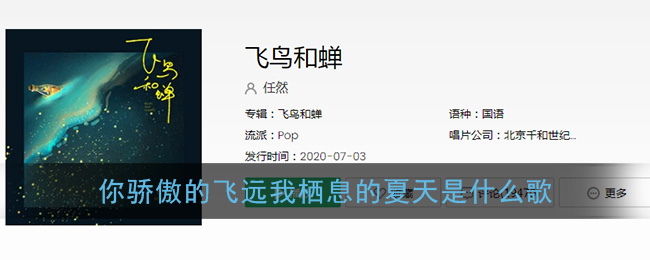 你骄傲的飞远我栖息的夏天是什么歌