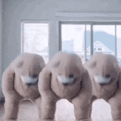 《抖音》跳舞熊表情包分享