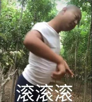 giao哥表情包大全
