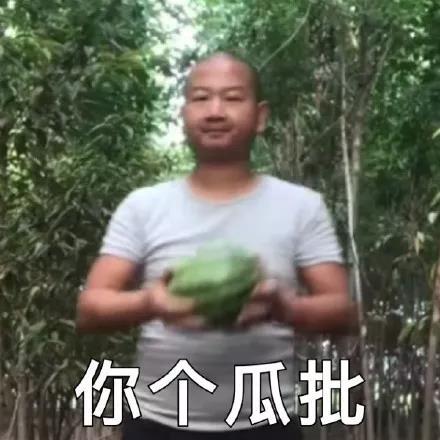 giao哥表情包大全