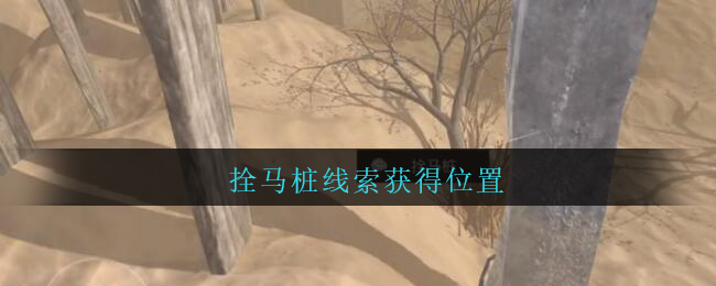《孙美琪疑案：陈庭君》五级线索——拴马桩