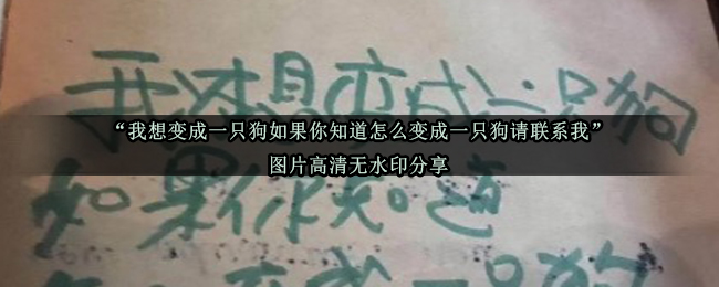 “我想变成一只狗如果你知道怎么变成一只狗请联系我”图片高清无水印分享